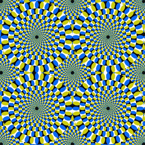 是静的还是动的，有趣图片